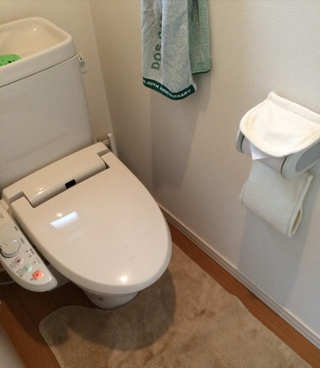Illustration for article titled Japanese Restrooms Are Still the Best on Earth